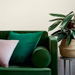 Crown Easyclean® Washable & Wipeable Multi Surface Matt Paint Antique Cream® - 2.5L 13 Crown Easyclean® Washable & Wipeable Multi Surface Matt Paint Antique Cream® - 2.5L -Crown 12823279 1244857376594782