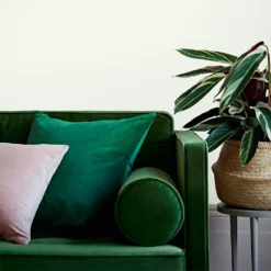 Crown Easyclean® Washable & Wipeable Multi Surface Matt Paint Milk White® - 2.5L -Crown 12823436 8534857377051958