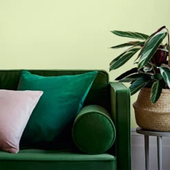 Crown Easyclean® Washable & Wipeable Multi Surface Matt Paint Soft Lime® - 2.5L 13 Crown Easyclean® Washable & Wipeable Multi Surface Matt Paint Soft Lime® - 2.5L -Crown 12823450 1794857377117898