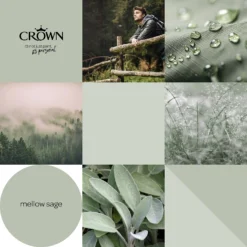 Crown Walls & Ceilings Matt Emulsion Paint Mellow Sage - Tester 40ml -Crown 12832057 2134977311571447