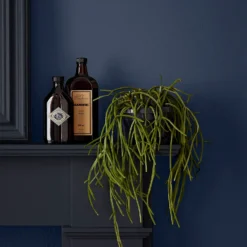 Crown Easyclean Bathroom Paint Midnight Navy - 40ml -Crown 12886554 1294853989547064