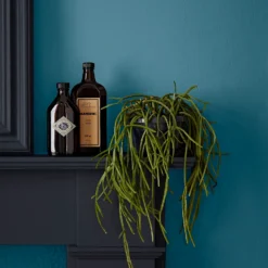 Crown Easyclean Bathroom Paint Teal - 0.04L -Crown 12886566 2014853989681893