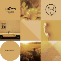 Crown Matt Emulsion Paint Overjoyed - Tester 40ml -Crown 13806985 1424964055315786